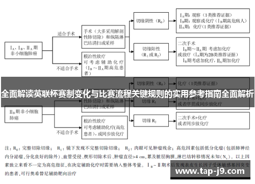 全面解读英联杯赛制变化与比赛流程关键规则的实用参考指南全面解析 全面解读英联杯赛制变化与比赛流程关键规则的实用参考指南全面解析