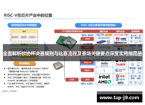 全面解析欧协杯决赛规则与比赛流程及赛场关键要点深度实用指南册