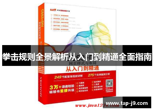 拳击规则全景解析从入门到精通全面指南