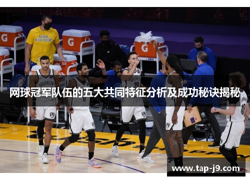 网球冠军队伍的五大共同特征分析及成功秘诀揭秘