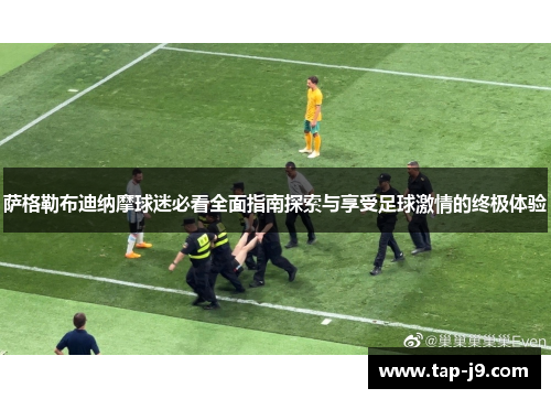 萨格勒布迪纳摩球迷必看全面指南探索与享受足球激情的终极体验 萨格勒布迪纳摩球迷必看全面指南探索与享受足球激情的终极体验