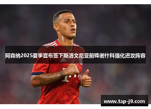 阿森纳2025夏季宣布签下斯洛文尼亚前锋谢什科强化进攻阵容 阿森纳2025夏季宣布签下斯洛文尼亚前锋谢什科强化进攻阵容